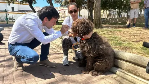 Toma de muestra a un perro dentro de la campaña ‘ADN Canino’ en Huércal de Almería Toma de muestra a un perro dentro de la campaña ‘ADN Canino’ en Huércal de Almería
