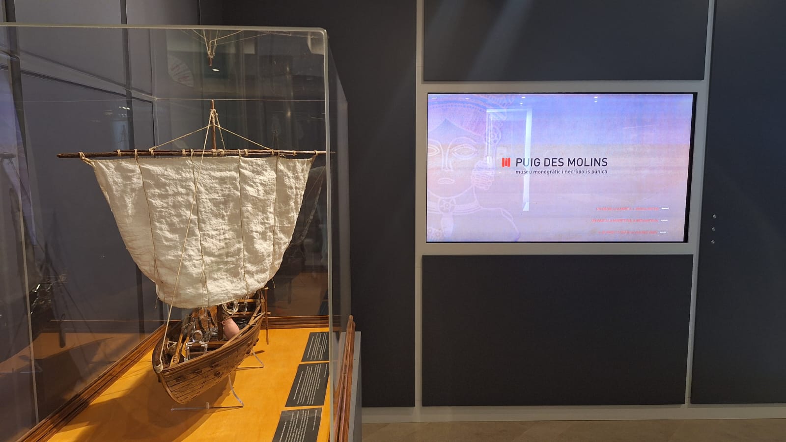 Hortensia Blanco: “El Museu Arqueològic es un libro abierto que nunca deja de revelarnos cosas nuevas” Hortensia Blanco: “El Museu Arqueològic es un libro abierto que nunca deja de revelarnos cosas nuevas”