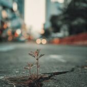 Portada del documental.