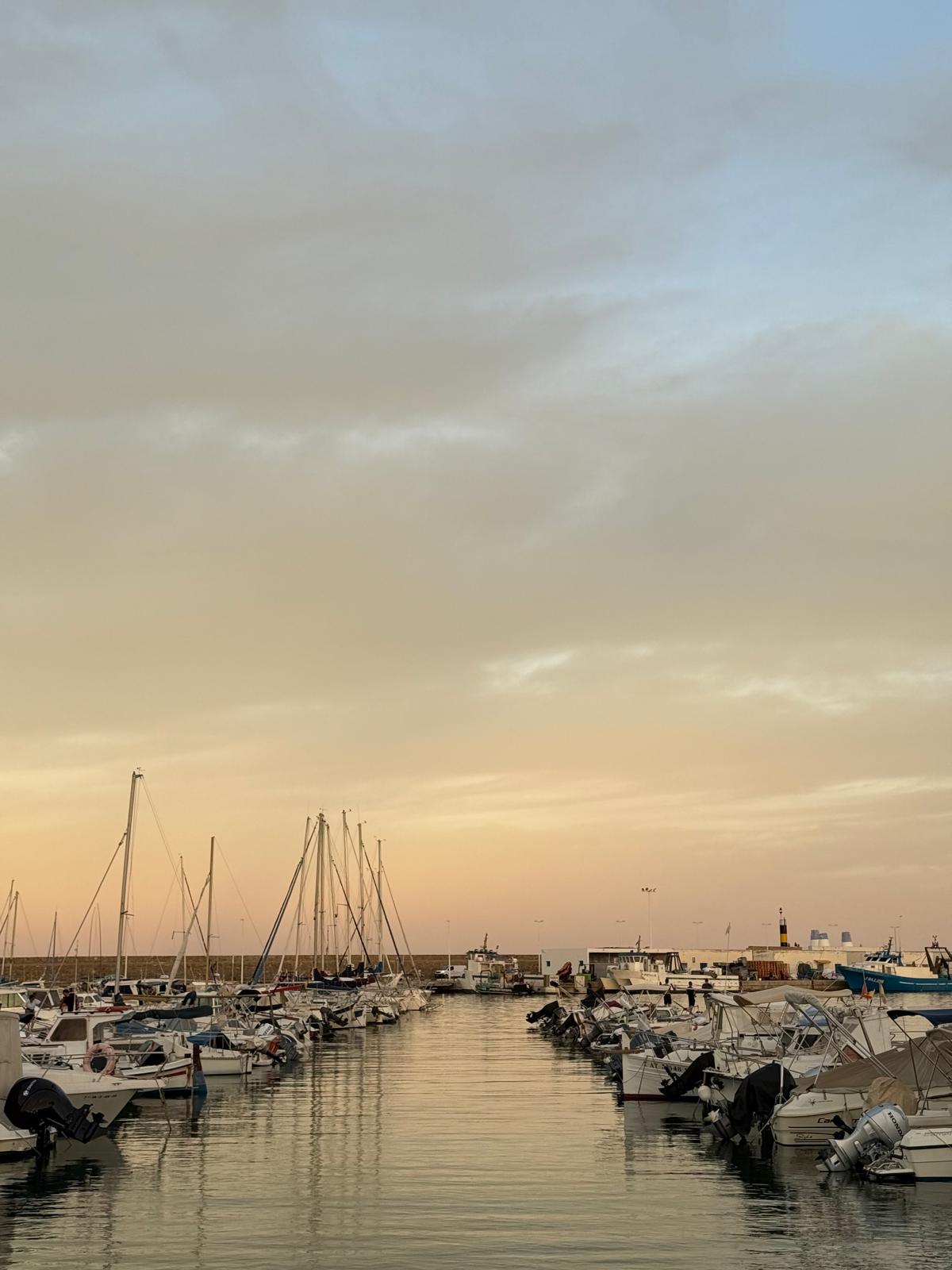 La Generalitat instalará placas fotovoltaicas en los puertos de Altea y La Vila Joiosa para impulsar la energía sostenible La Generalitat instalará placas fotovoltaicas en los puertos de Altea y La Vila Joiosa para impulsar la energía sostenible