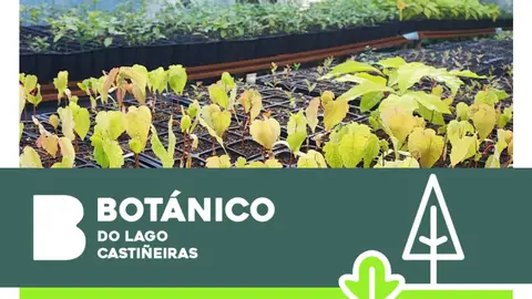 La Fundación Juan XXIII y su Botánico do Lago de Castiñeiras Hablamos con el director de la Fundación, Diego Chapela, para conocer la iniciativa que lideran en el Lago de Castiñeiras y que será una realidad en primavera.
