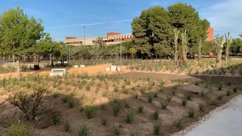La UMH de Elche recepciona el ajardinamiento del entorno del nuevo edificio Valverde. La UMH de Elche recepciona el ajardinamiento del entorno del nuevo edificio Valverde.