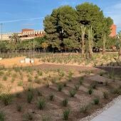 La UMH de Elche recepciona el ajardinamiento del entorno del nuevo edificio Valverde.