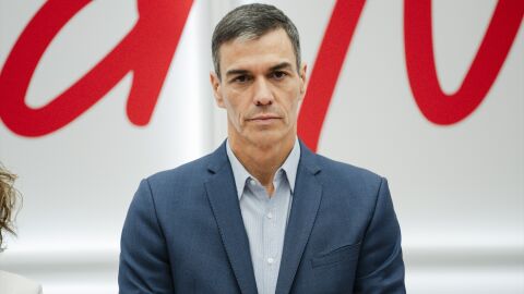 El presidente del Gobierno y secretario general del PSOE, Pedro S&aacute;nchez,