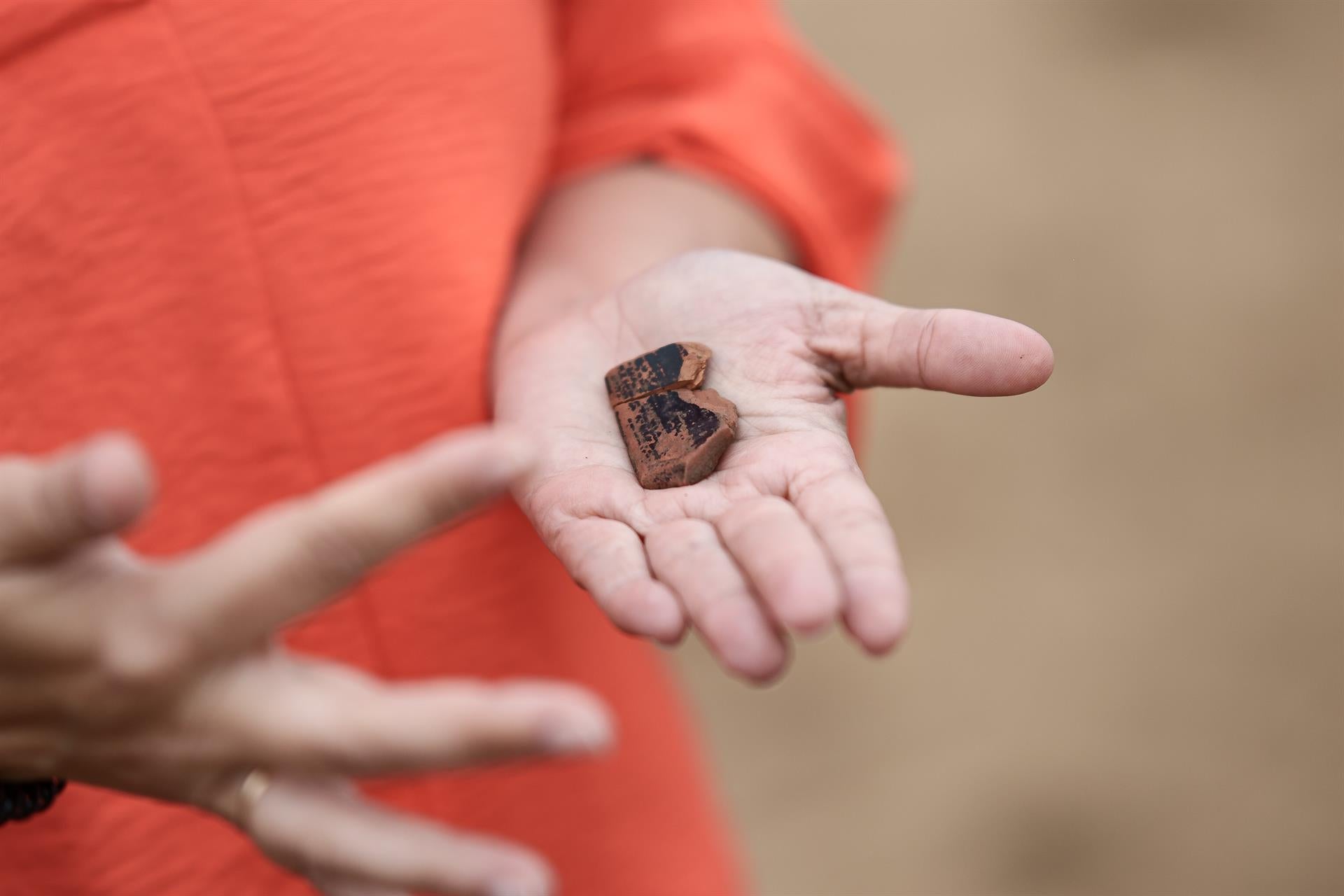 Aparecen fragmentos de cerámicas griegas en la necrópolis tartésica de Medellín Aparecen fragmentos de cerámicas griegas en la necrópolis tartésica de Medellín