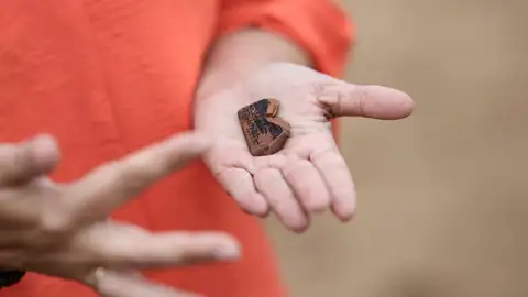 Aparecen fragmentos de cerámicas griegas en la necrópolis tartésica de Medellín Aparecen fragmentos de cerámicas griegas en la necrópolis tartésica de Medellín