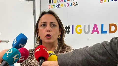 La secretaria general de Igualdad y Conciliación, Ara Sánchez Vera La secretaria general de Igualdad y Conciliación, Ara Sánchez Vera