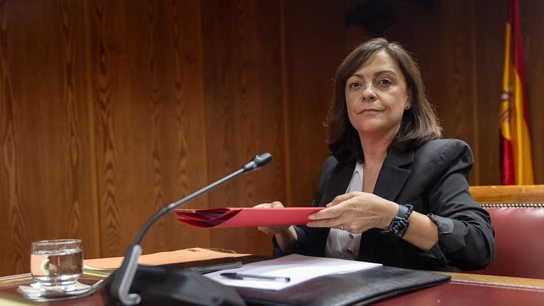 La gerente del PSOE, Ana María Fuentes, acude a la comisión de investigación del caso Koldo en el Senado La gerente del PSOE, Ana María Fuentes, acude a la comisión de investigación del caso Koldo en el Senado