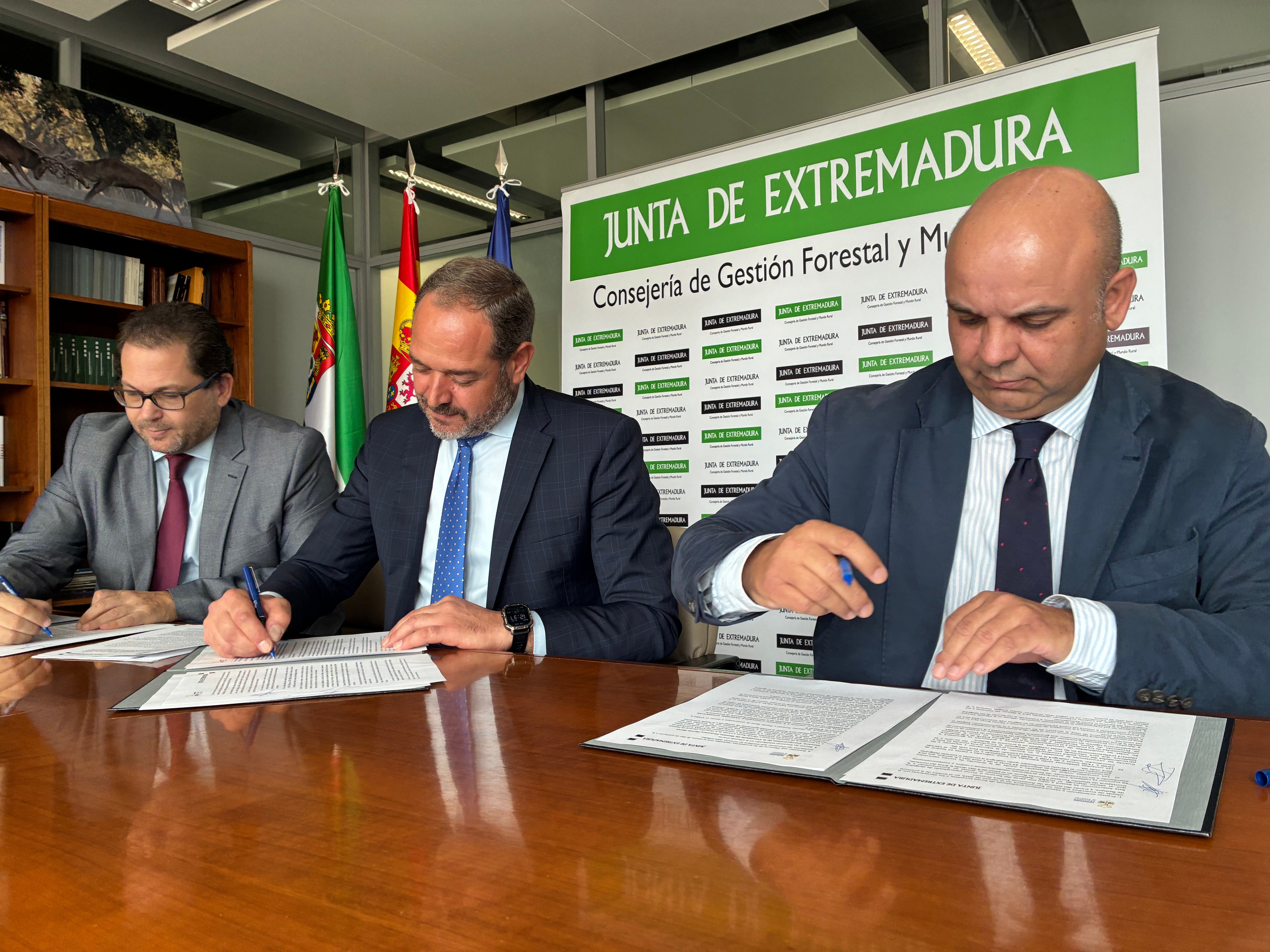 Los afectados por los incendios de este verano tendrán asistencia jurídica gratuita e inmediata Los afectados por los incendios de este verano tendrán asistencia jurídica gratuita e inmediata