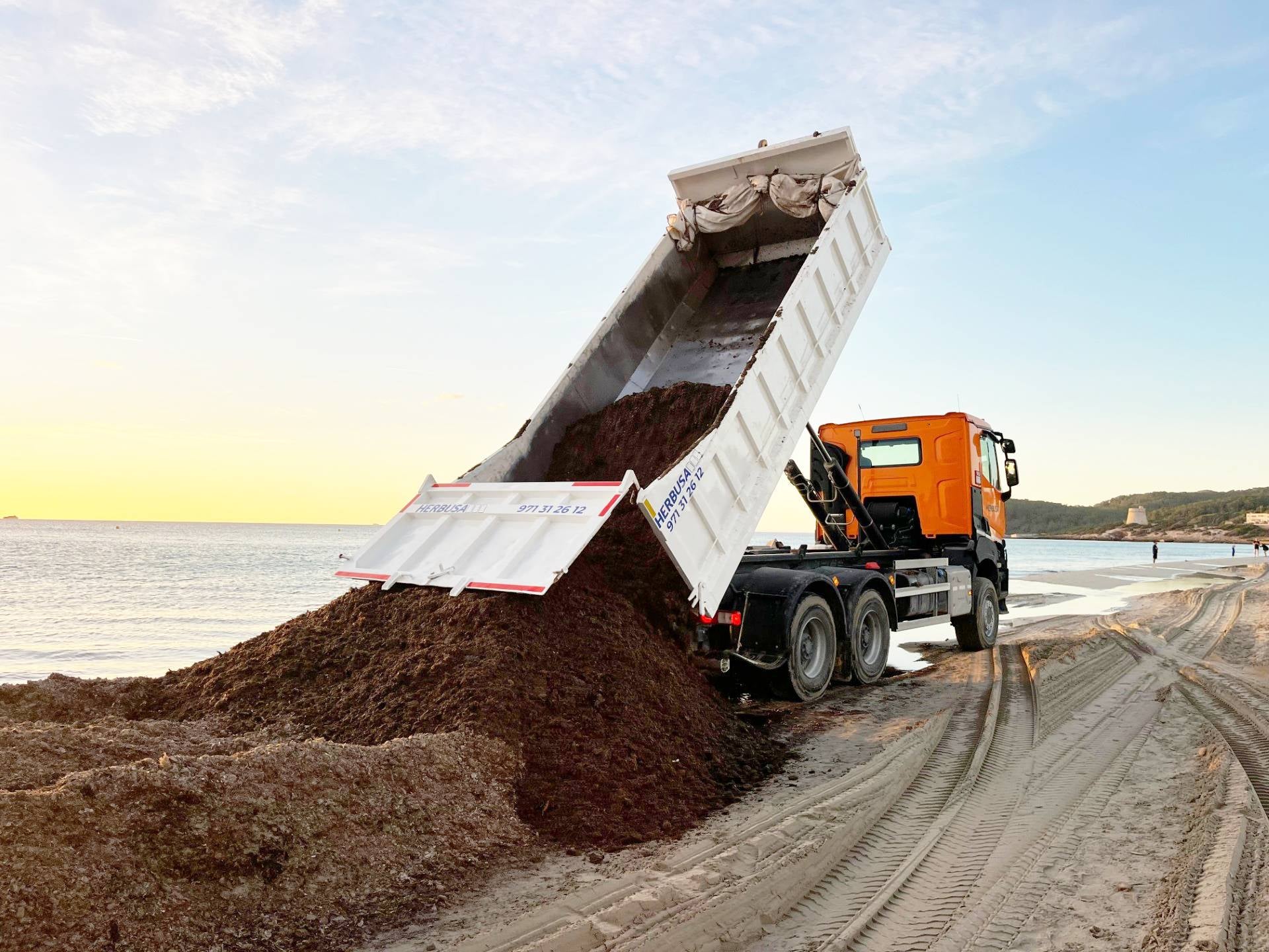 Felicia Bocú: “La posidonia muerta no es un residuo sino un elemento clave para proteger las playas de Ibiza” Felicia Bocú: “La posidonia muerta no es un residuo sino un elemento clave para proteger las playas de Ibiza”