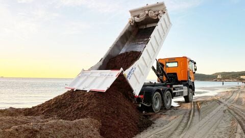 Imagen de los trabajos de devoluci&oacute;n de la posidonia a la playa
