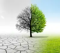 cambio climático cambio climático