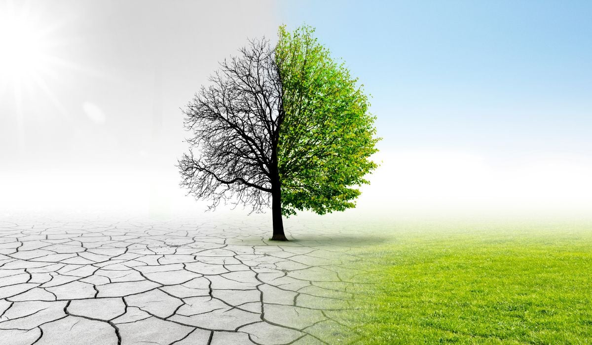 Para el meteorólogo Agustí Jansà, los negacionistas del cambio climático tienen un discurso "interesado" episode artwork