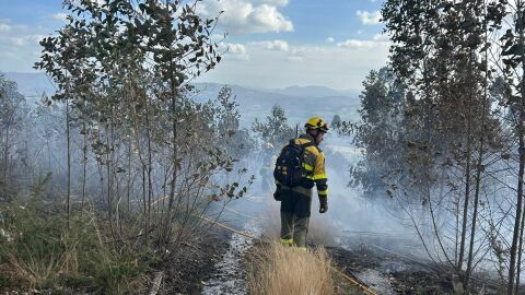 Controlado el incendio en el Monte Areo de Gij&oacute;n