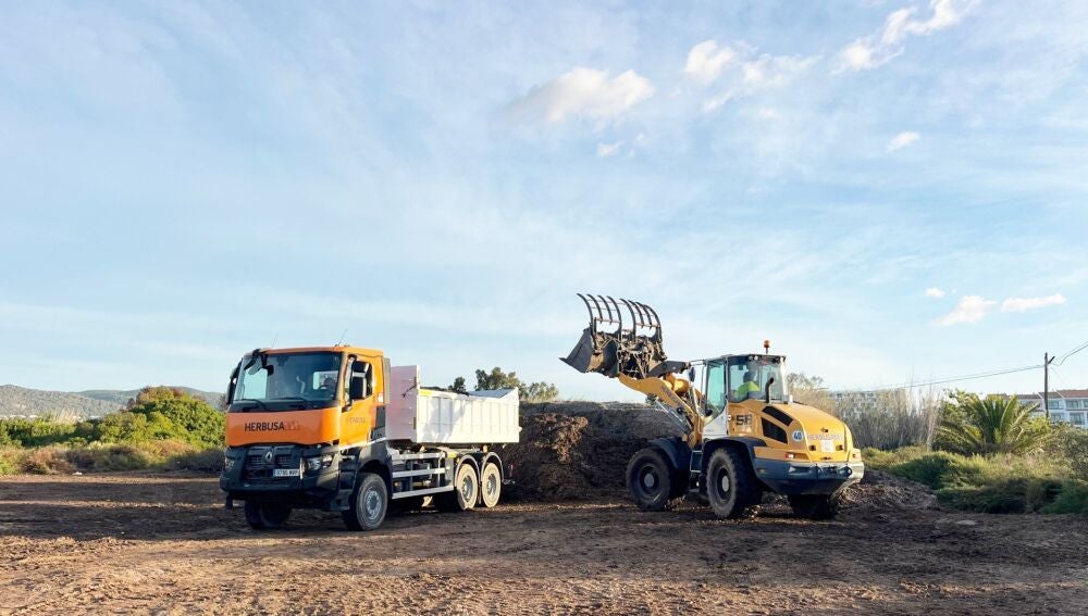 Imagen de los trabajos realizados para retornar la posidonia