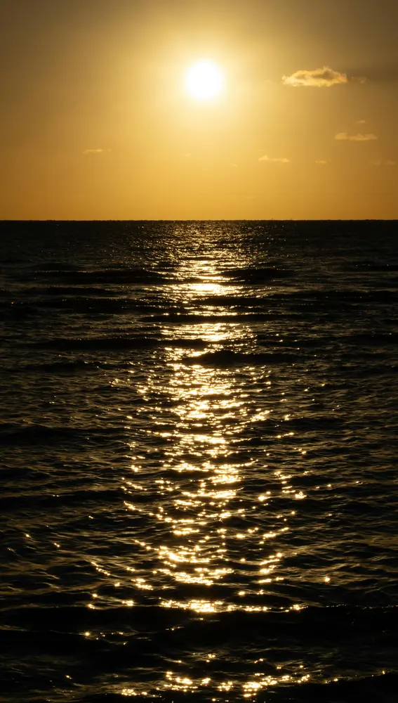 Punta del Este Punta del Este