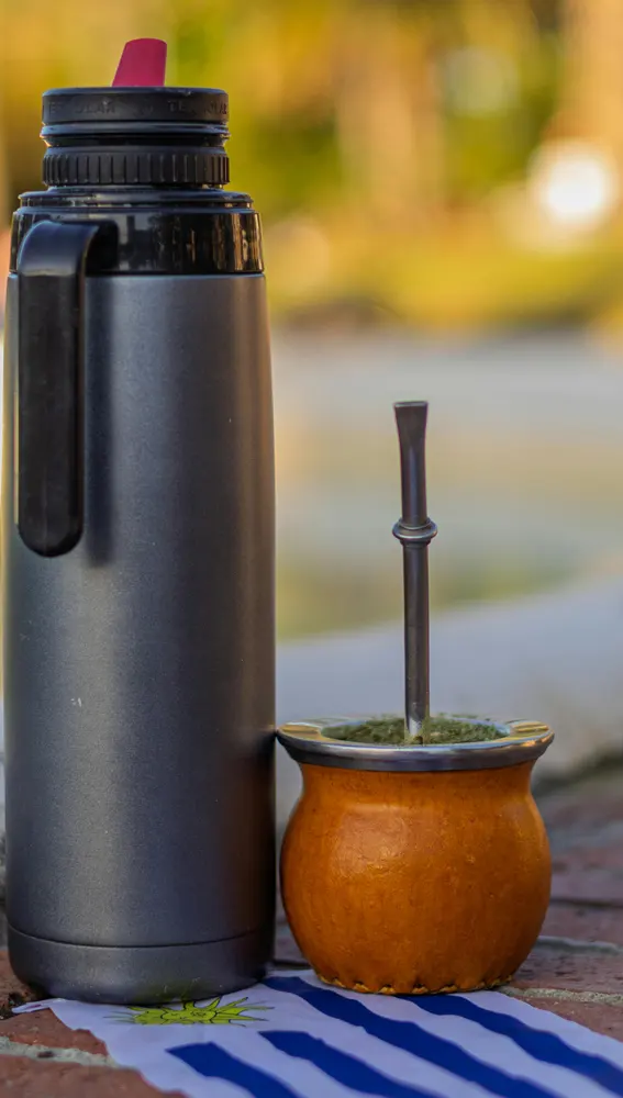 Bebida de mate Bebida de mate