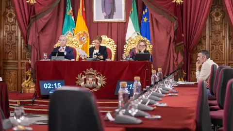 Pleno de la Diputación con la bancada del PSOE vacío Pleno de la Diputación con la bancada del PSOE vacío