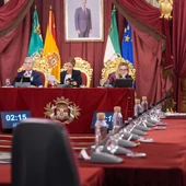 Pleno de la Diputación con la bancada del PSOE vacío Pleno de la Diputación con la bancada del PSOE vacío