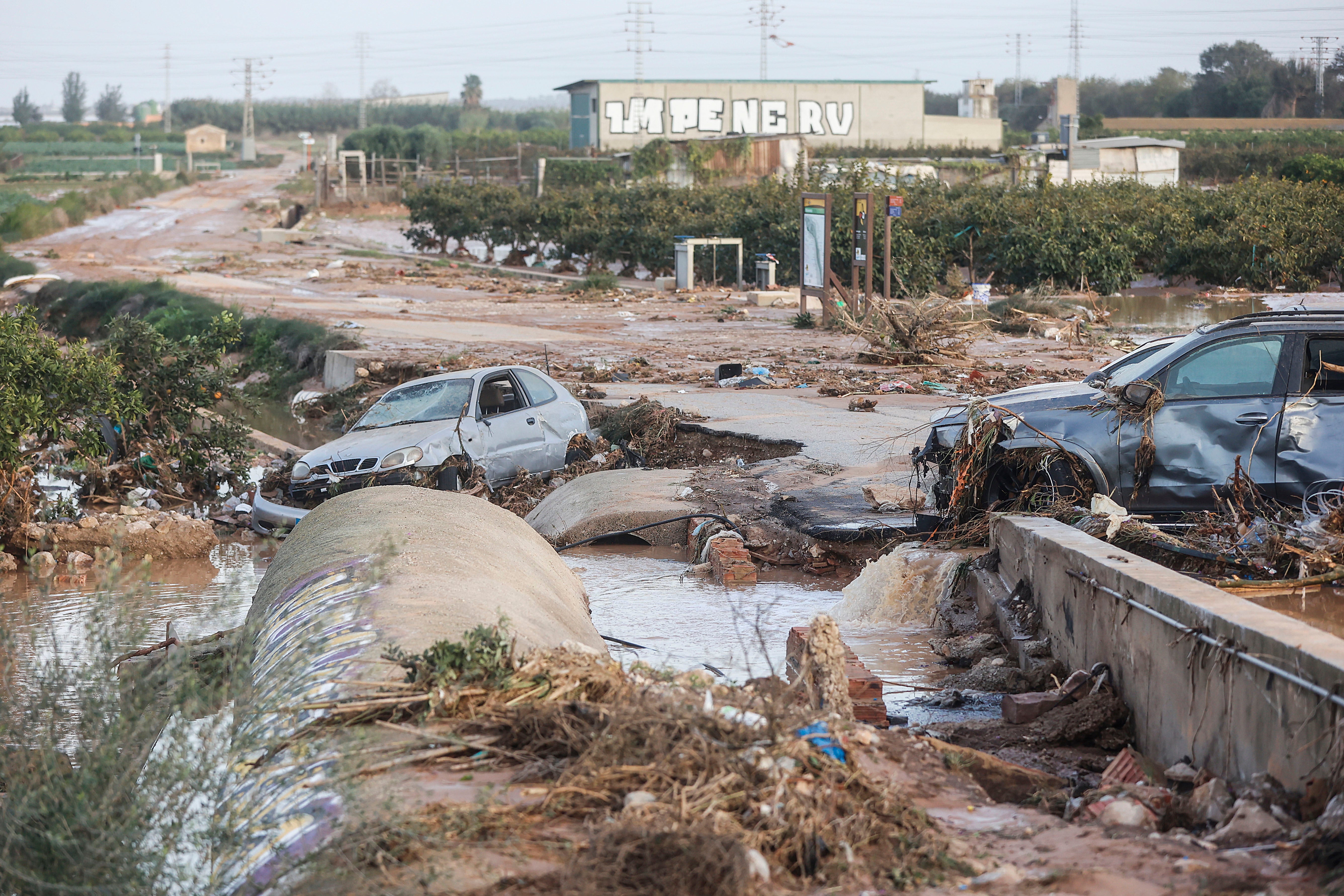 La jefa de Emergencias admite a la jueza de la dana que el Gobierno pidió enviar la alerta a las 18:35 horas La jefa de Emergencias admite a la jueza de la dana que el Gobierno pidió enviar la alerta a las 18:35 horas