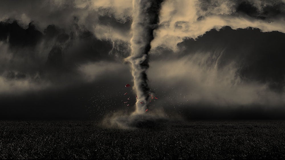 IA: la inteligencia "aliada" IA: la inteligencia "aliada"