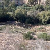 Zona desde la que parte la conducción a la Acequia Mayor del Pantano.