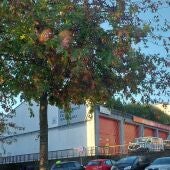 La Xunta insta al gobierno de Santiago a "ponerse a trabajar" ante "el peligro" de una ciudad "desprovista" de bomberos