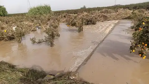 Campo aarrasado por la dana Campo aarrasado por la dana