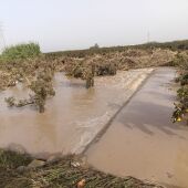 Campo aarrasado por la dana