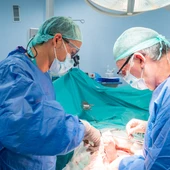 Quirónsalud Málaga, pionero en una innovadora técnica de reconstrucción vascular para el tratamiento de cáncer de páncreas localmente avanzado Quirónsalud Málaga, pionero en una innovadora técnica de reconstrucción vascular para el tratamiento de cáncer de páncreas localmente avanzado