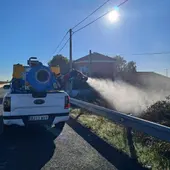 Castellón redobla los esfuerzos contra la plaga de mosquitos en las inmediaciones del Aeroclub Castellón redobla los esfuerzos contra la plaga de mosquitos en las inmediaciones del Aeroclub