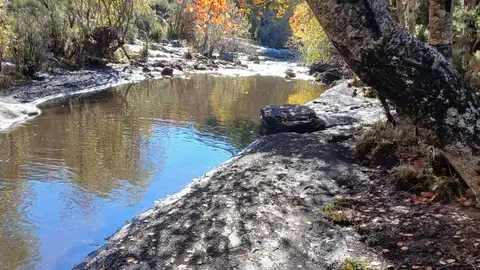 Las cenizas del incendio del Pico del Lobo contaminan ríos como el Jarama Las cenizas del incendio del Pico del Lobo contaminan ríos como el Jarama
