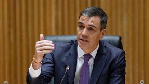 El presidente del Gobierno y secretario general del PSOE, Pedro Sánchez.-EFE/Mariscal El presidente del Gobierno y secretario general del PSOE, Pedro Sánchez.-EFE/Mariscal