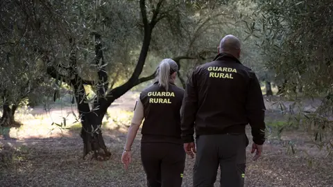 La Diputación concede ayudas a 15 municipios para la contratación de guardas rurales La Diputación concede ayudas a 15 municipios para la contratación de guardas rurales