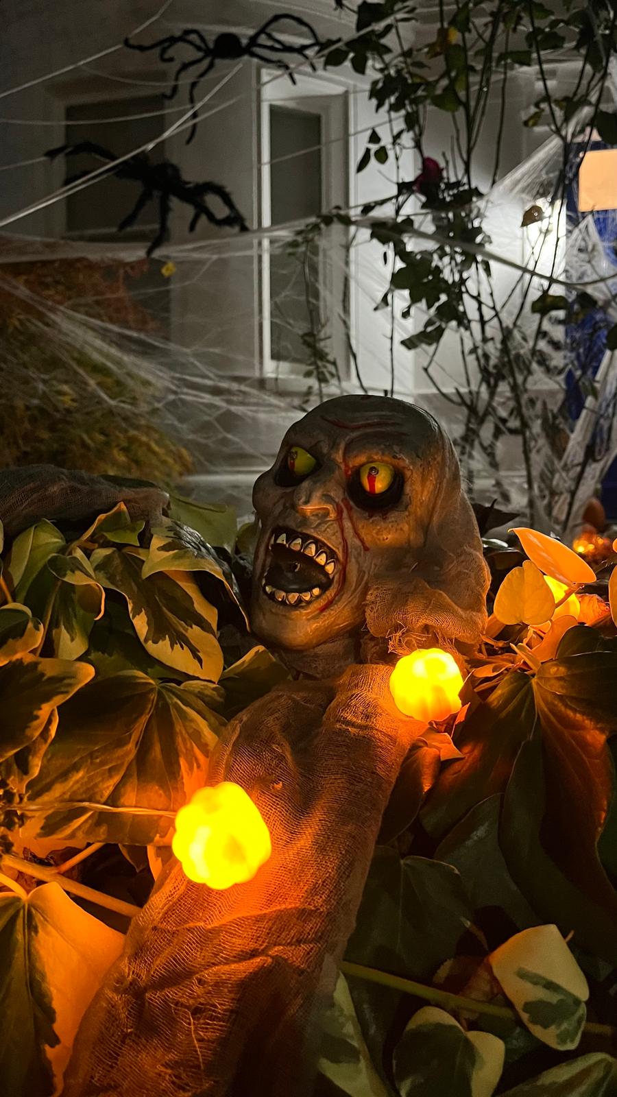 Agenda fin de semana 31/10/2025 Agenda fin de semana 31/10/2025