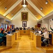 Celebración del pleno municipal