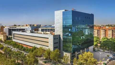 Grupo Insur alcanza una cifra de negocio de 118 millones, un 18% más, con importantes aumentos en todas sus líneas de negocio ECONOMIA