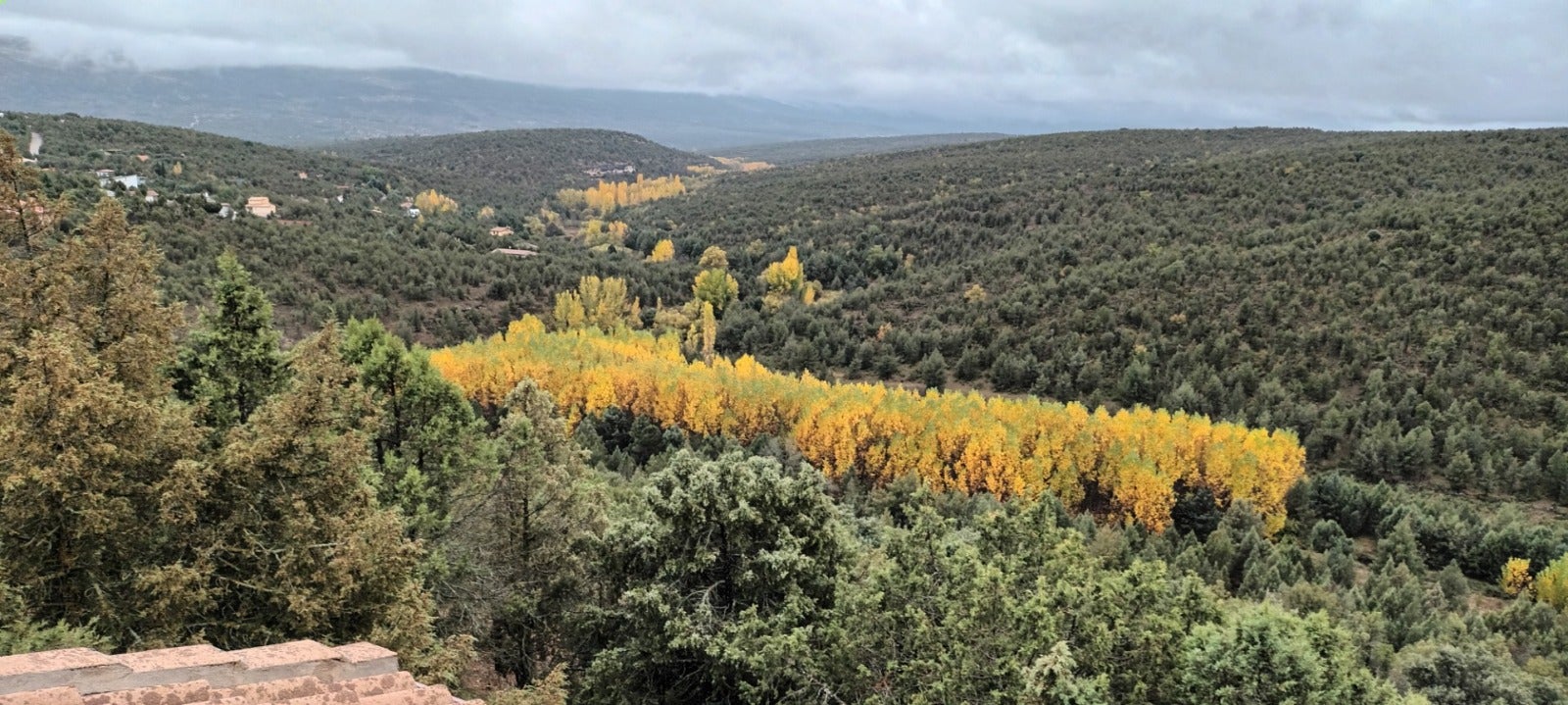 Ecologistas en Acción recuerda que el 75% de los estudios constatan efectos en la salud por las antenas de telecomunicaciones Ecologistas en Acción recuerda que el 75% de los estudios constatan efectos en la salud por las antenas de telecomunicaciones
