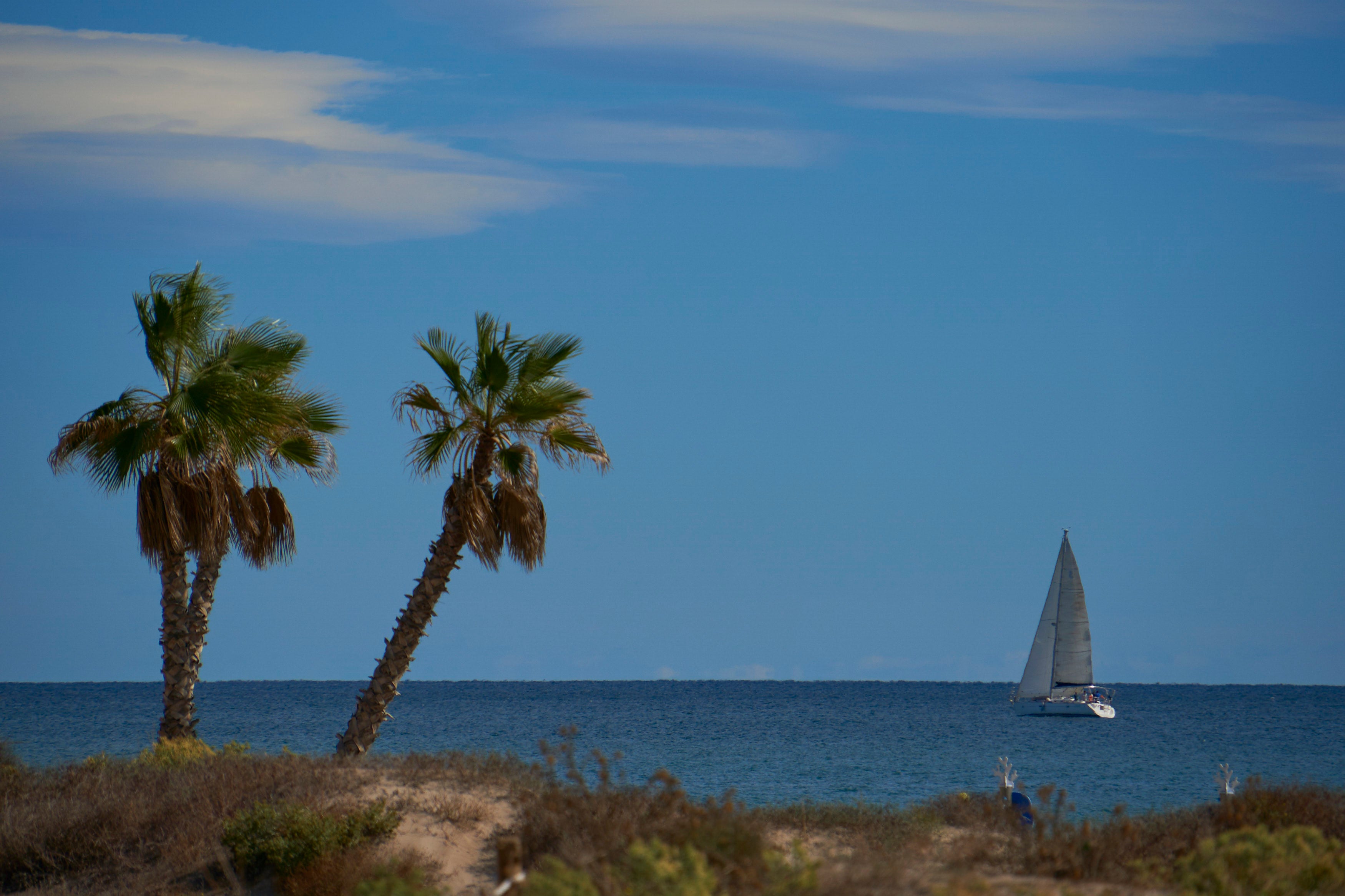 Canet d’en Berenguer reúne a expertos de toda España en su Congreso de Turismo Sostenible Canet d’en Berenguer reúne a expertos de toda España en su Congreso de Turismo Sostenible