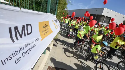 Noviembre es un mes cargado de actividades y eventos. IMD Sevilla Noviembre es un mes cargado de actividades y eventos. IMD Sevilla