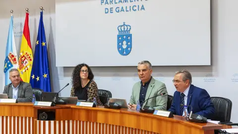 Menor presenta os orzamentos da Deputación de Ourense no Parlamento Galego Menor presenta os orzamentos da Deputación de Ourense no Parlamento Galego