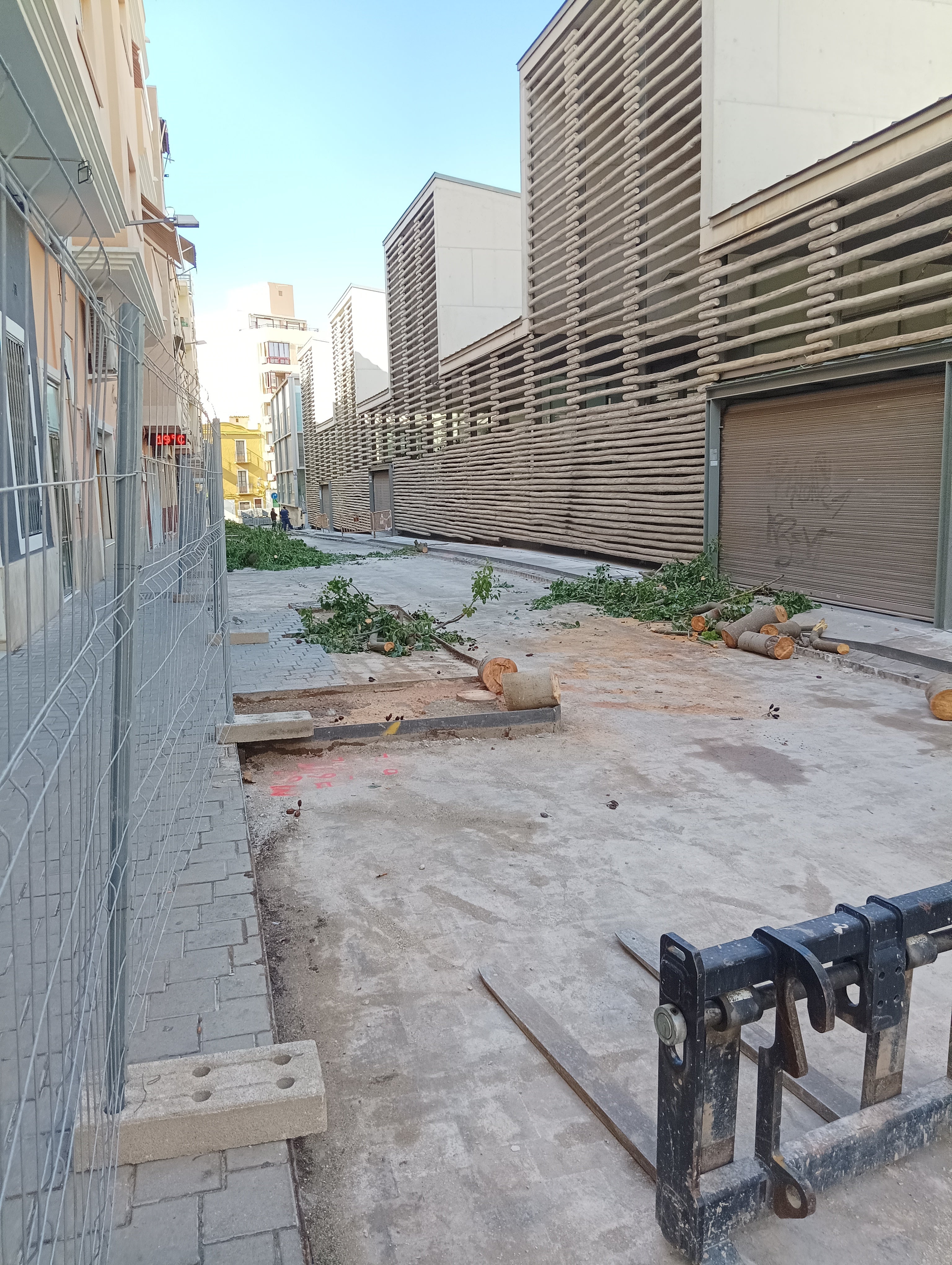 Polémica en Villajoyosa por la tala de árboles junto al Mercado de Abastos Polémica en Villajoyosa por la tala de árboles junto al Mercado de Abastos