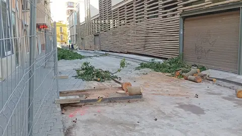 Polémica en Villajoyosa por la tala de árboles junto al Mercado de Abastos Polémica en Villajoyosa por la tala de árboles junto al Mercado de Abastos