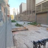 Polémica en Villajoyosa por la tala de árboles junto al Mercado de Abastos