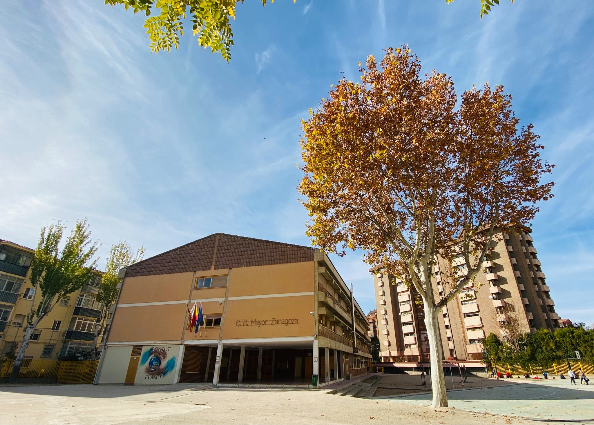 Reconocidos por el Día de la Enseñanza en la provincia de Albacete Reconocidos por el Día de la Enseñanza en la provincia de Albacete