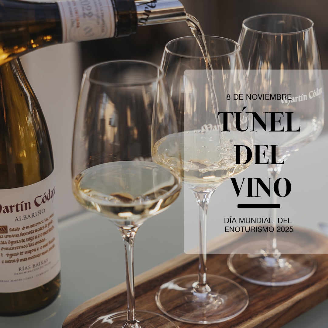 Martín Códax celebra este sábado el Día Mundial del Enoturismo con un Túnel del Vino – Más de uno Pontevedra