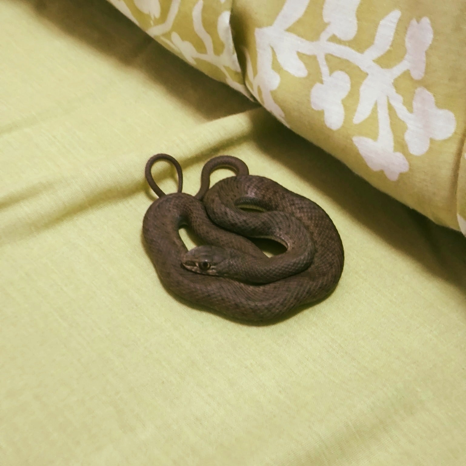 Una vecina de Palencia encuentra una culebra entre sus sábanas Una vecina de Palencia encuentra una culebra entre sus sábanas