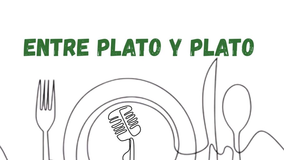 Entre Plato y Plato