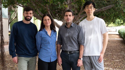 Los investigadores del IN CSIC-UMH Giovani Usseglio, Teresa Femen&iacute;a, Andreas Kardamakis y Kuisong Song. 