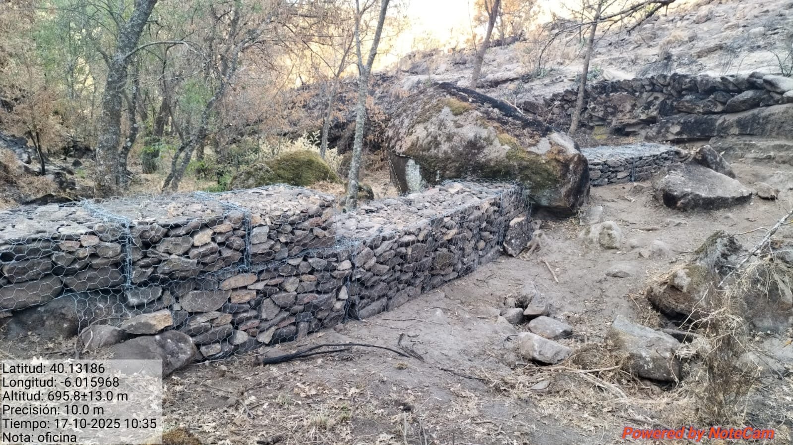 Las medidas de la Junta retrasan y reducen el arrastre de cenizas procedentes del incendio de Jarilla, un fenómeno natural y temporal Las medidas de la Junta retrasan y reducen el arrastre de cenizas procedentes del incendio de Jarilla, un fenómeno natural y temporal